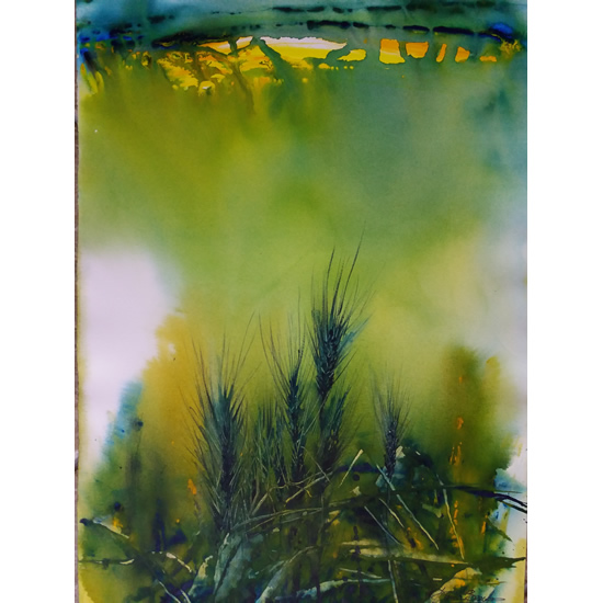 Immagine opera di Daniela Boscolo